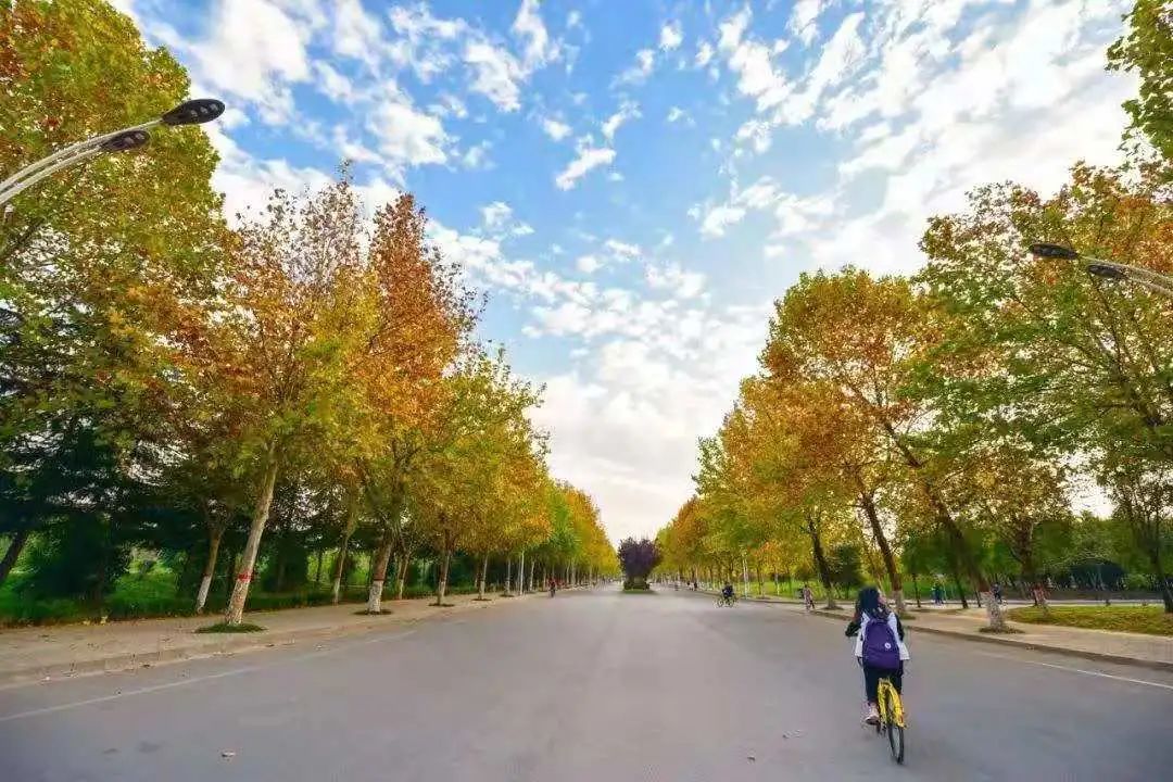 1607319112332049.jpg 图片