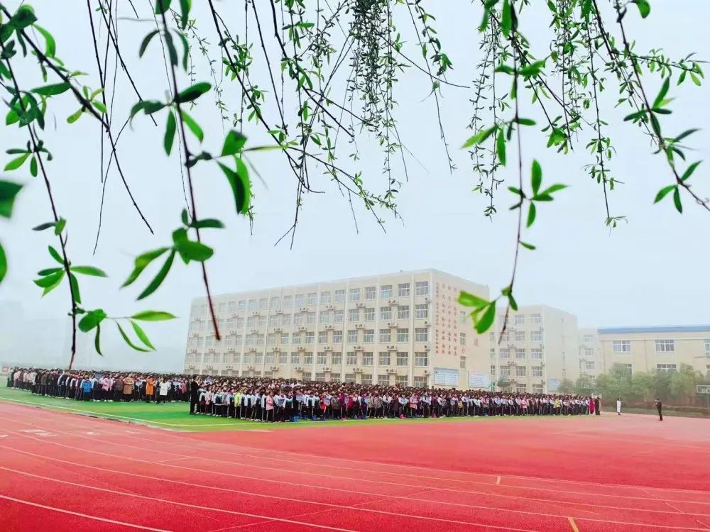 1615776271368584.jpg 图片