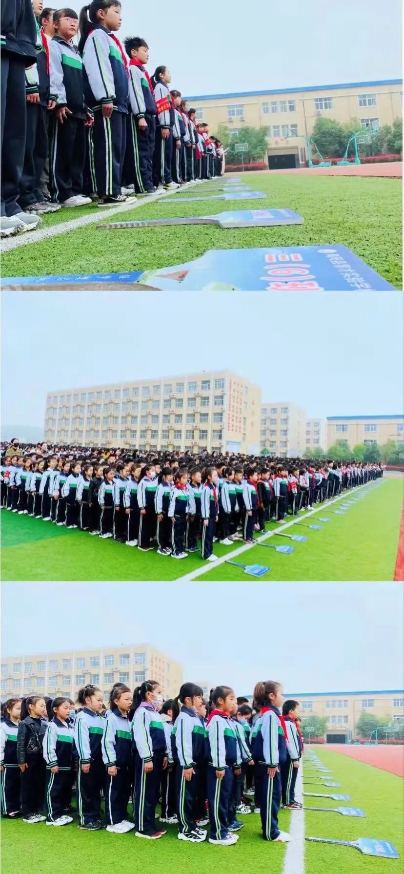 1616993329163533.jpg 图片