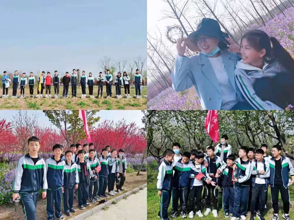 1617182033425455.jpg 图片