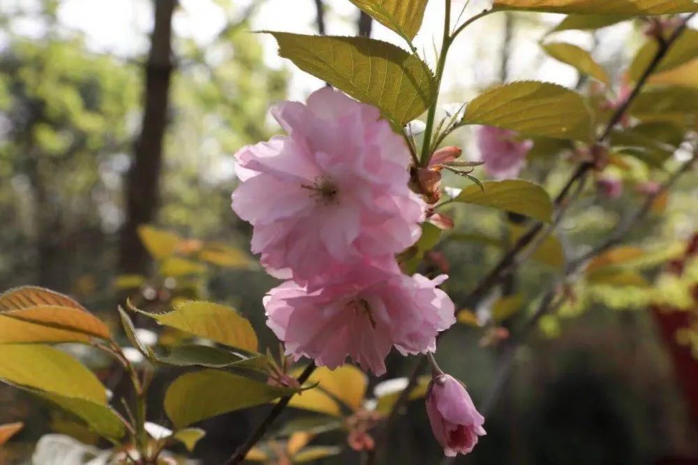 1617104717146422.jpg 图片