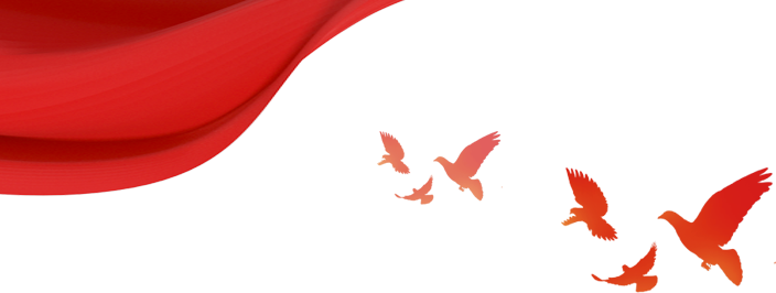 青蓝相携 共谱新章——舞阳县育才实验学校初中部开展“青蓝工程”赛课活动(图1) 图片